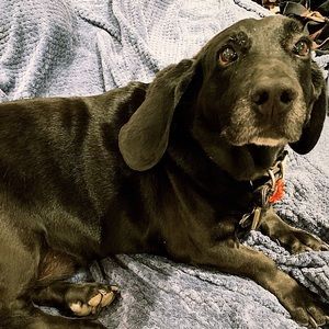 Meet your Posher, Rob